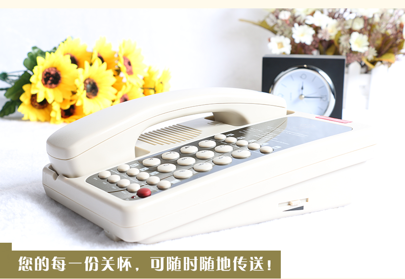 细节展示图