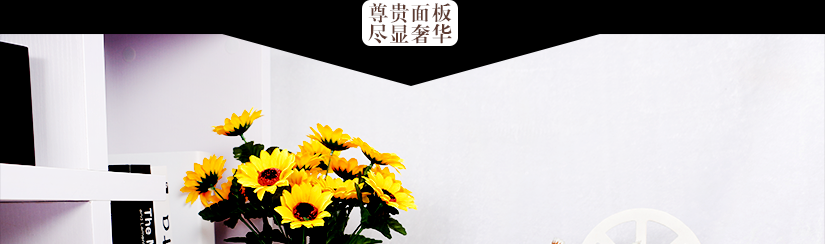 尽显奢华的面板