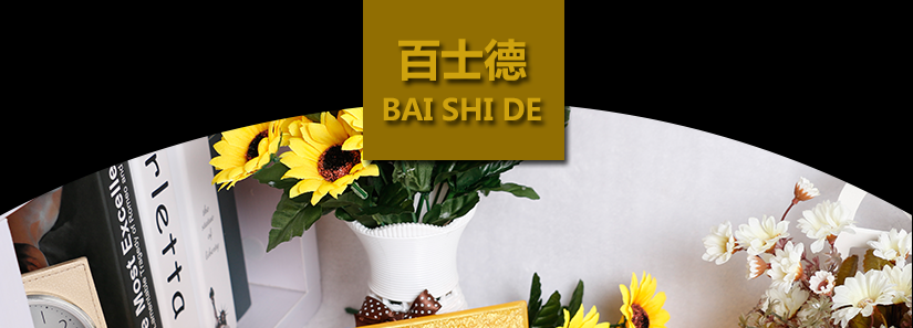 百士德/BAISHIDE